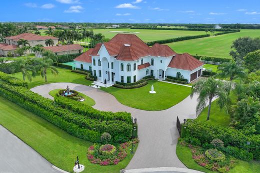 Casa Unifamiliare a Wellington, Palm Beach County