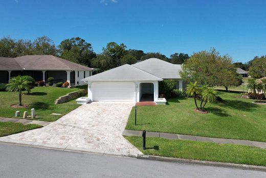 Casa Unifamiliare a Palm Harbor, Pinellas County