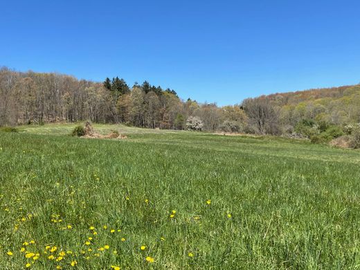 Grundstück in Roxbury, Litchfield County