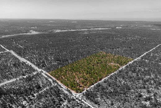 Land in Alcácer do Sal, Distrito de Setúbal