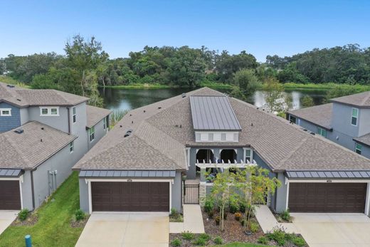 Luxury home in Lutz, Hillsborough County