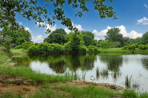 토지 / Richland Springs, San Saba County