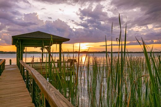 Palm Harbor, Pinellas Countyの一戸建て住宅