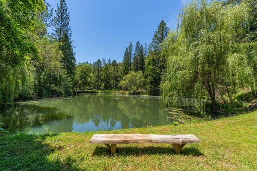 호화 저택 / Fiddletown, Amador County