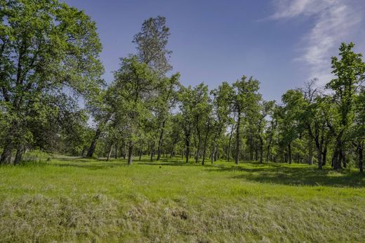 Luxury home in Redding, Shasta County
