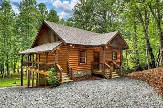 단독 저택 / Mineral Bluff, Fannin County