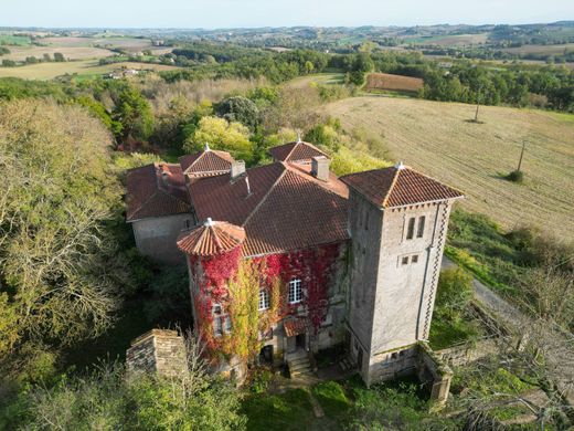 Detached House in Gaillac, Tarn