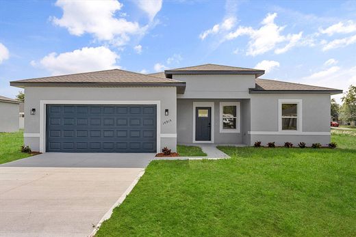 Μονοκατοικία σε Ocala Waterway, Marion County