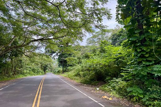 Land in Hana, Maui