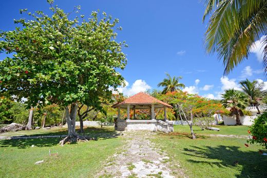 Playa Paraíso, Solidaridadの土地