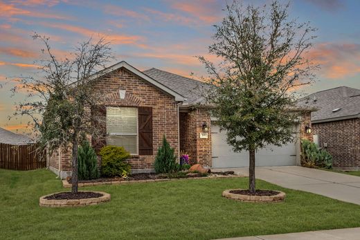 Detached House in Anna, Collin County