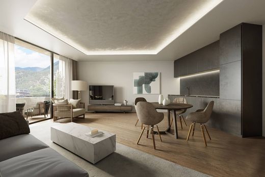 Apartament w La Massana