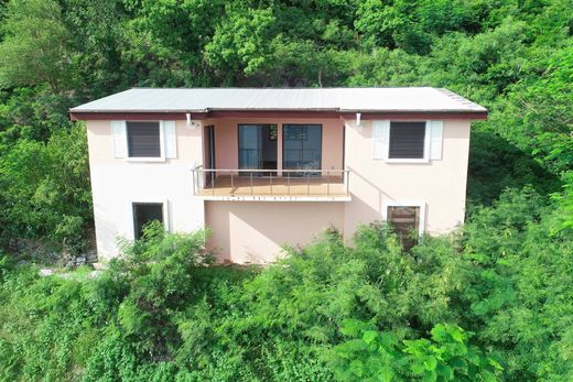 独立式房屋  Tortola