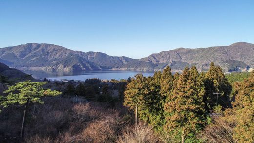 Arsa Hakone, Ashigarashimo-gun