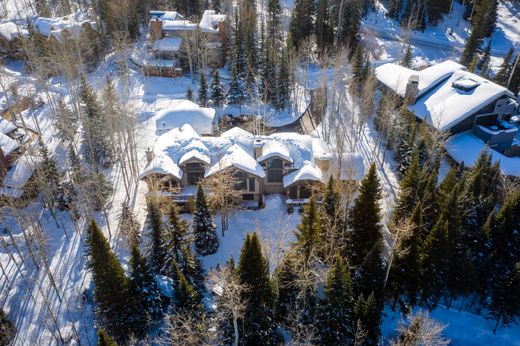 Dom jednorodzinny w Snowmass Village, Pitkin County