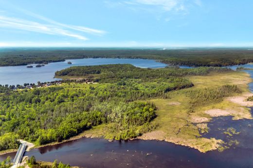 جزيرة ﻓﻲ Trent Hills, Ontario