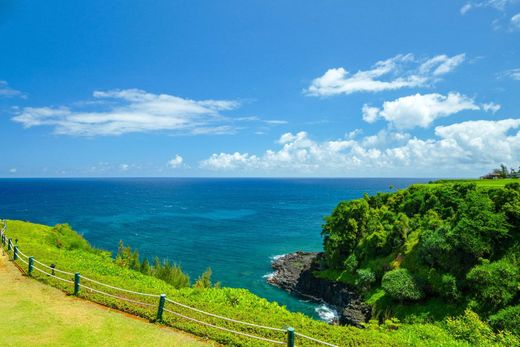 Princeville, Kauai Countyのアパートメント