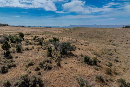 Land in Dolores, Montezuma County