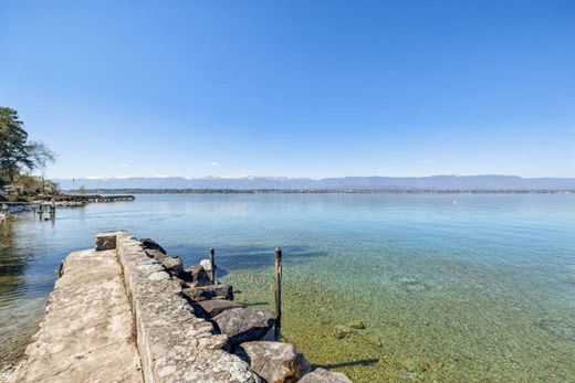 Detached House in Collonge-Bellerive, Geneva