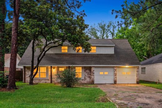 Detached House in Houston, Harris County