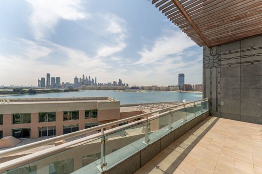 Maison de luxe à Dubaï