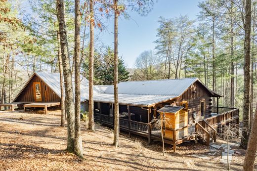 Cherry Log, Gilmer Countyの一戸建て住宅