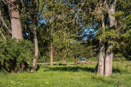 Propriété de campagne à Puerto Octay, Provincia de Osorno