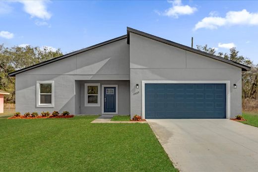 Einfamilienhaus in Ocala Waterway, Marion County