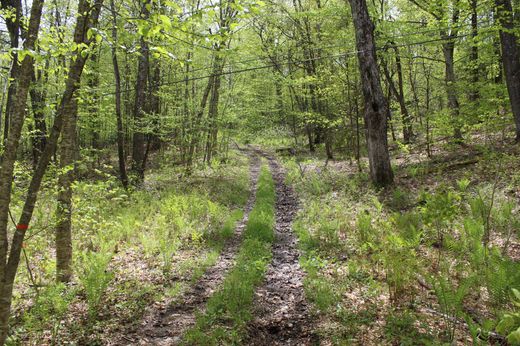Terrain à Woodstock, Comté de Windsor