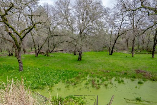 Arsa Loomis, Placer County
