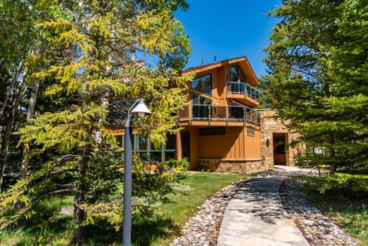 Luxus-Haus in Breckenridge, Summit County