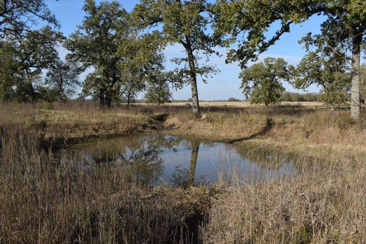 Gospodarstwo w Covington, Hill County