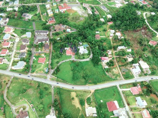 地皮  Mandeville, Mandeville Proper