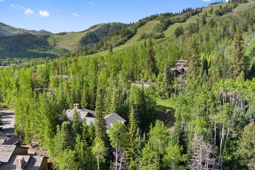 Teren w Aspen, Pitkin County