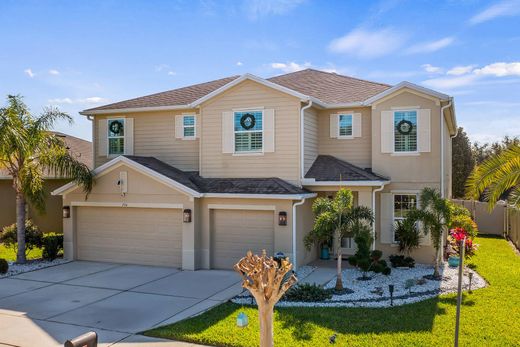 Casa Independente - Groveland, Lake County