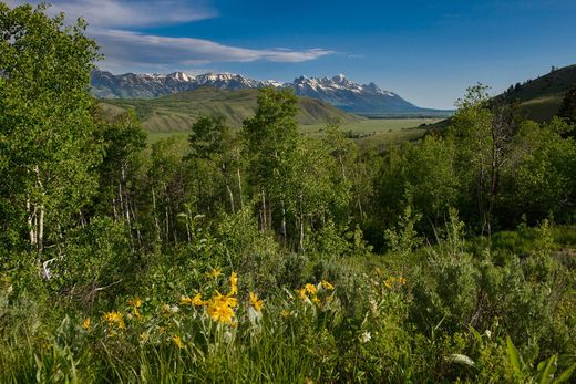 Grond in Jackson, Teton County