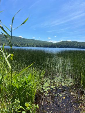 Arsa Lyme, Grafton County