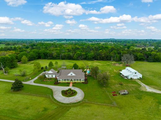 Casa Unifamiliare a Bullard, Smith County