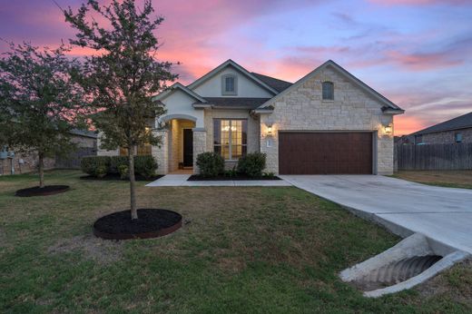 Dripping Springs, Hays Countyの一戸建て住宅