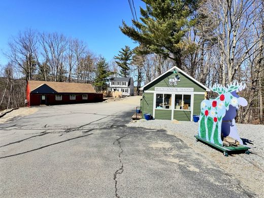 Dom jednorodzinny w Newbury, Merrimack County