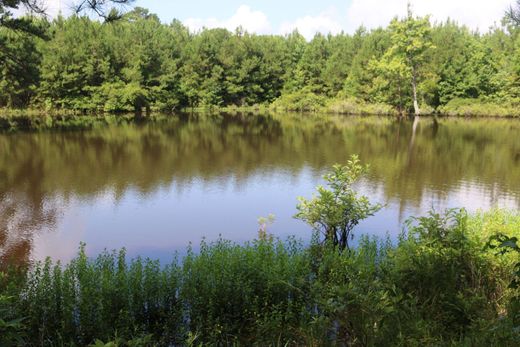 Land in Shongaloo, Webster Parish