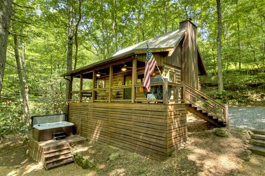 Maison individuelle à Cherry Log, Comté de Gilmer