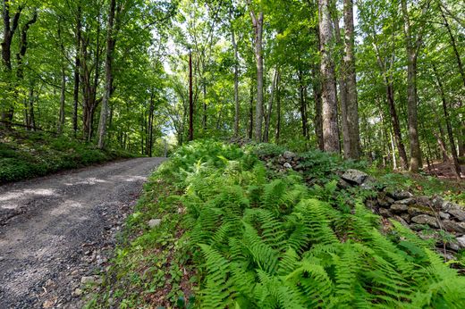 Roxbury, Litchfield Countyの土地