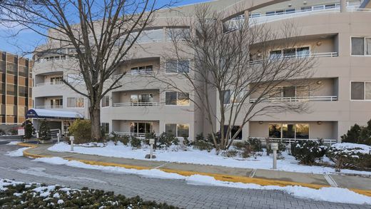 Apartment in Great Neck, Nassau County