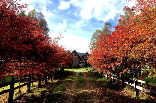 Country House in Panguipulli, Provincia de Valdivia