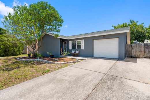 Частный Дом, Palm Harbor, Pinellas County
