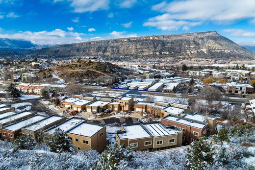 Townhouse - Durango, La Plata County