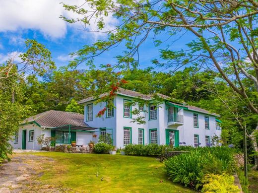 豪宅  Mandeville, Mandeville Proper