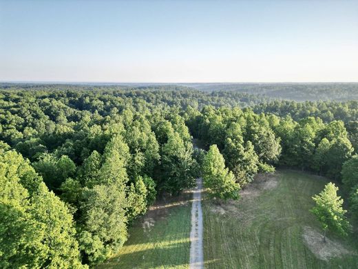 Land in Joelton, Davidson County