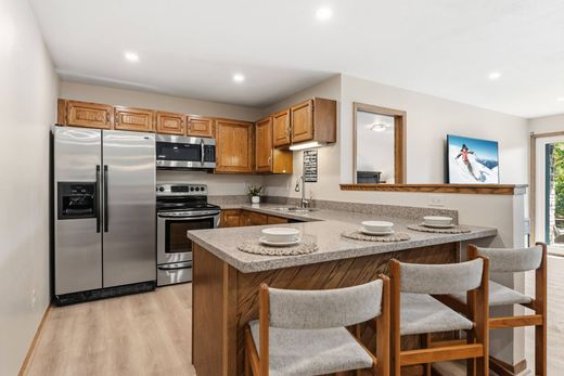 Daire Silverthorne, Summit County